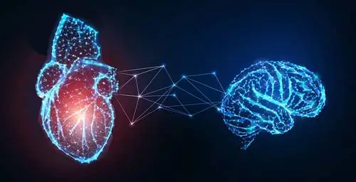 Как слабое сердце повреждает мозг