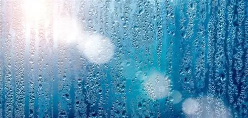 Поток влажного воздуха