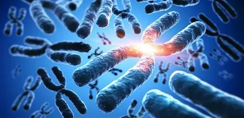 Хромосомы-&8222;explosion“ как триггер рака