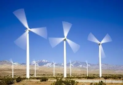 Опасна ли энергия ветра для летучих мышей?