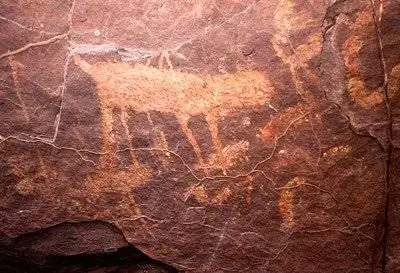 Бразилия: случайно обнаружены наскальные рисунки