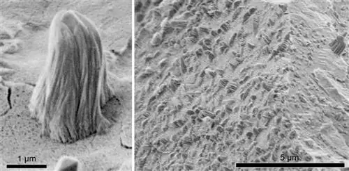 Астероид оглушен &8222;Iron Lashes“