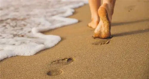 Наша стопа удивительно отличается