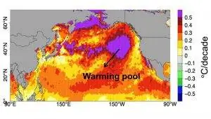 бассейн с подогревом