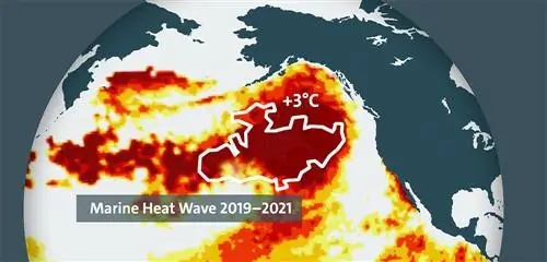 В Тихом океане обнаружен огромный тепловой бассейн