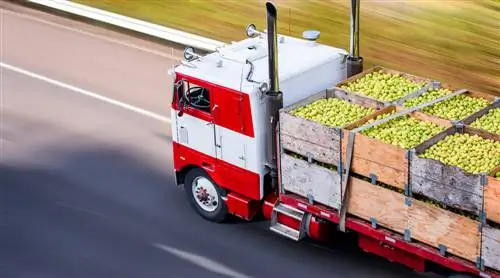 Продовольственный транспорт как рогатка CO2