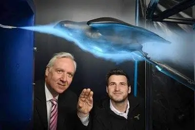 Сокол-сапсан как образец для новых типов самолетов