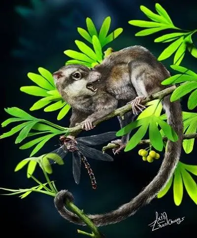 Загадки о корнях млекопитающих