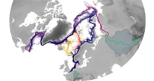 Наш пластик дрейфует через Северный полюс