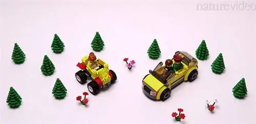 Защита климата с помощью роботов-такси