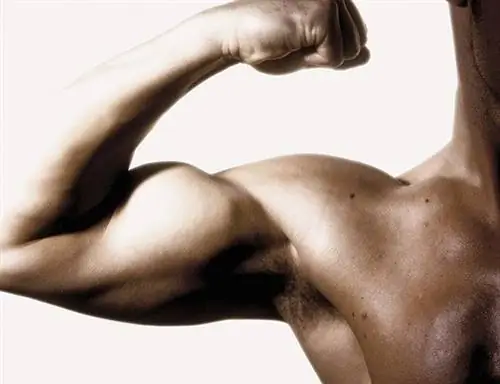 Злоупотребление анаболическими стероидами делает вас забывчивым