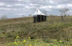 ловушка недомогания