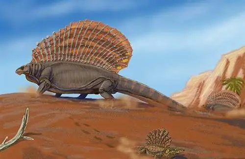 Кислотные океаны виноваты в мегамассовых вымираниях