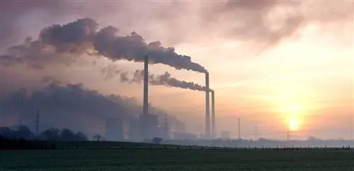 Выбросы CO2 достигли нового максимума