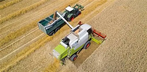 Изменение климата приводит к нехватке продовольствия во всем мире