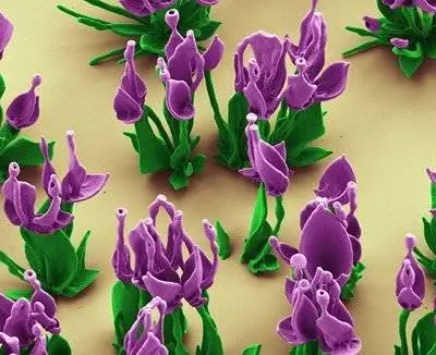 Удивительно реалистичные хрустальные наноцветы