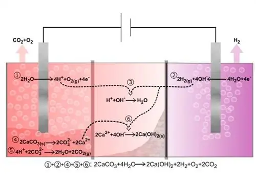 Электрохимические реакции