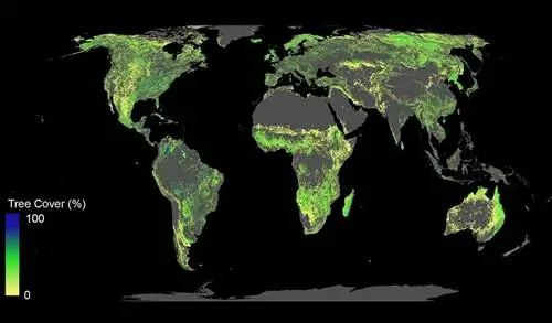 Потенциальные площади лесонасаждений