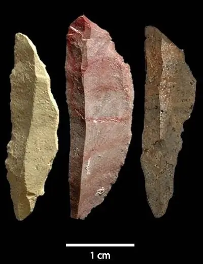 Человек уже производил сложные инструменты 71 000 лет назад