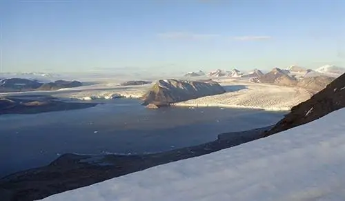 Устойчивость к антибиотикам даже в Арктике