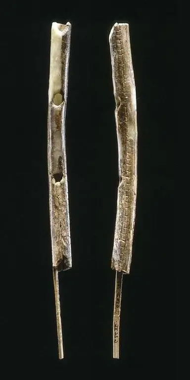 Швабская пещера содержит древнейшие человеческие произведения искусства