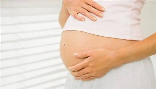 Беременность: лучше держаться на расстоянии