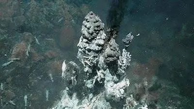 Черные курильщики оказались металлическими рогатками