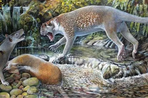 Австралия: обнаружен новый вид сумчатого льва