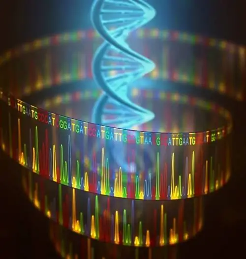 Аутентификация ДНК за считанные минуты