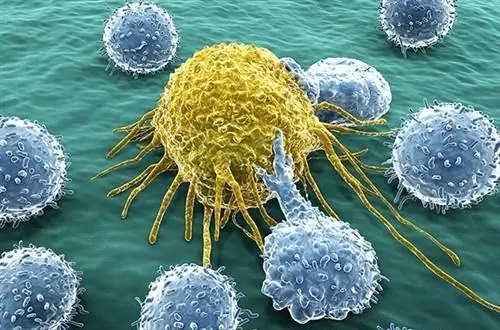 Иммунотерапия: успех в борьбе с раком кожи