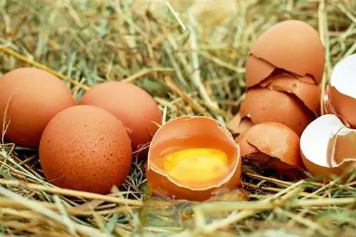 Органический или обычный?