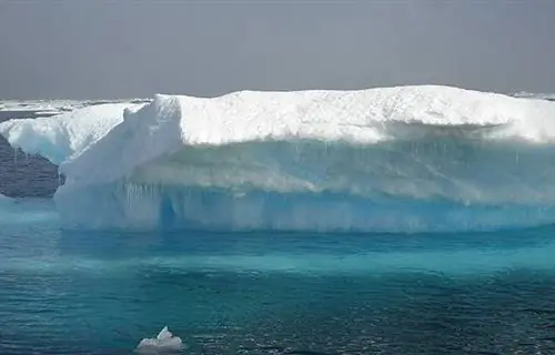 Три квадратных метра льда на тонну CO2