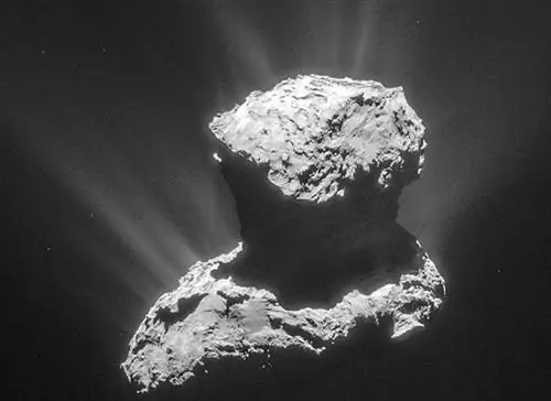 На комете Розетты обнаружена аминокислота