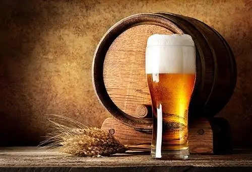 Китай: обнаружена пивоваренная мастерская возрастом 5000 лет