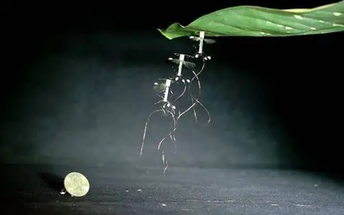 &8222;Robo Bees“ со сложной системой посадки