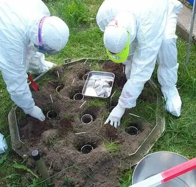 Прионы годами сохраняются в почве