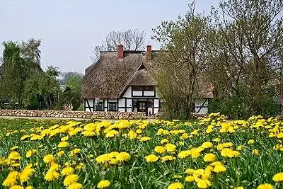 Идентифицирован новый ген катаракты