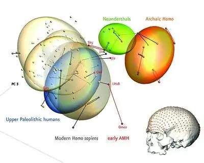 Ранние люди несколько раз иммигрировали в Европу