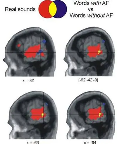 Слова оживляют чувственные впечатления