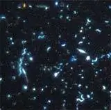 Фотосинтез: на это способны даже микробы