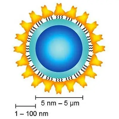 С наночастицами против рака