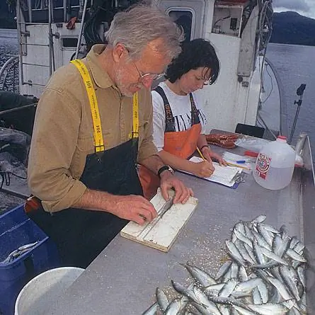 Exxon Valdez: приливные воды все еще беспокоят