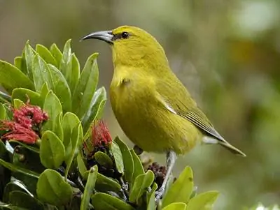 Image Image
