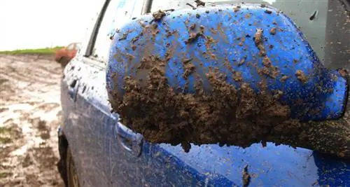 Как сорняки путешествуют автостопом по стране