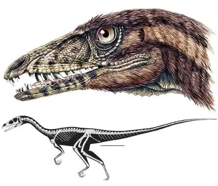 Новые окаменелости помогают подтвердить происхождение динозавров