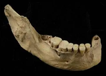 Asian Trek: Fossil отправляет древних людей на Дальний Восток