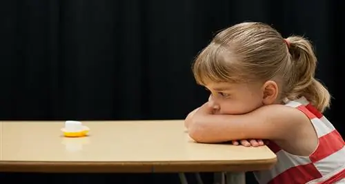 Сегодняшние дети ждут дольше, чем когда-либо, в классическом зефирном тесте