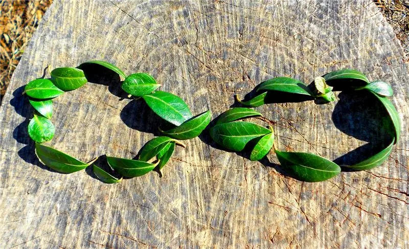 5 возможностей экономики замкнутого цикла