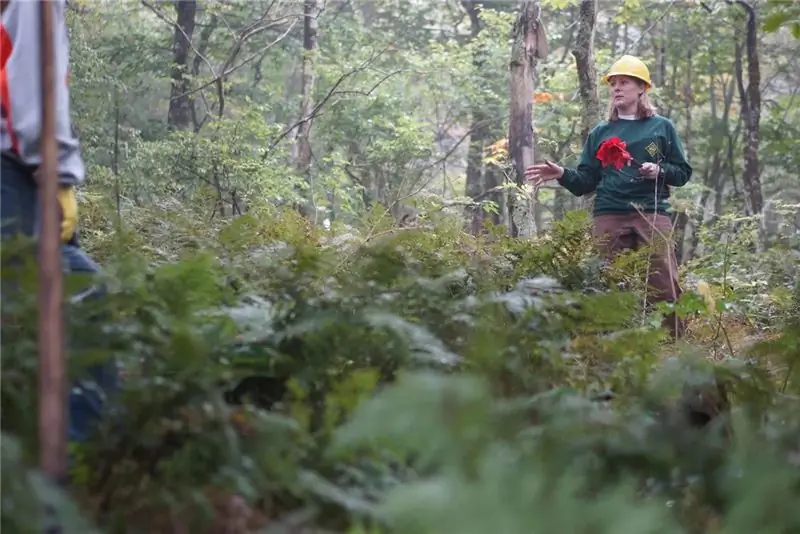 Крис Келли в лесу