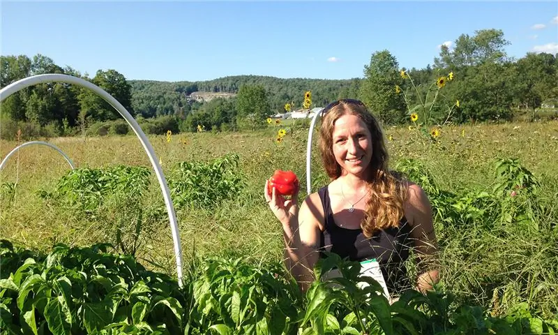 Женщины в поле